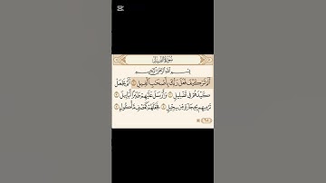 سورة الفيل #اكسبلور #توكلنا_علي_الله #شورت #قرآن