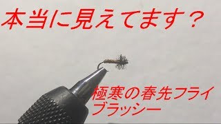 【フライタイイング】ブラッシー