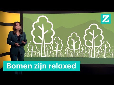 Video: Het Planten Van Nieuwe Bomen Werd Erkend Als Schadelijk Voor Het Klimaat - Alternatieve Mening