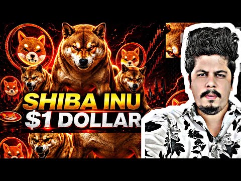 Shiba Inu $1 