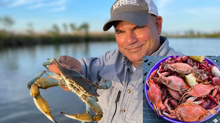 Louisiana Blue Crab (Catch & Cook) Boiled Crabs & ...