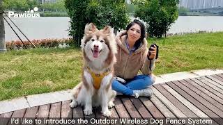 F810 Plus GPS Dog Fence: The GameChanging Technology for Pet Lovers