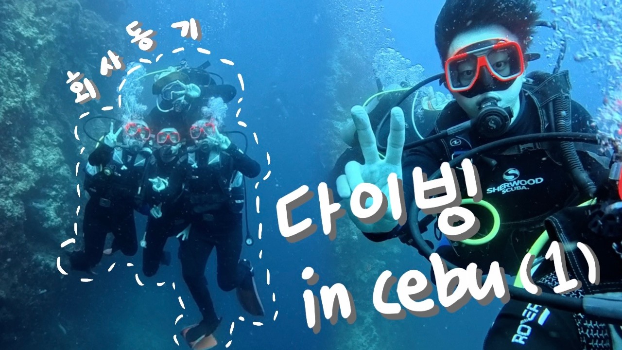 🇵🇭 필리핀 | 회사 동기들과 세부로 스쿠버 다이빙 자격증 따러가는 브이로그 (1)