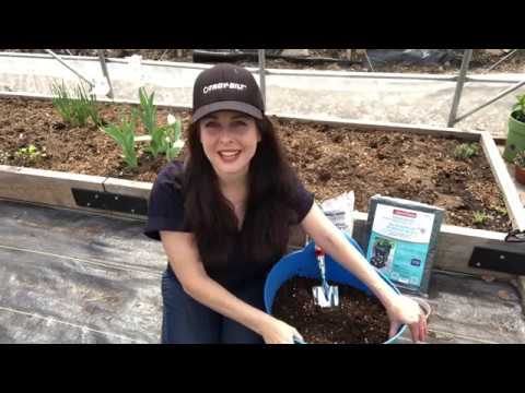 How to Plant Potatoes in a Container