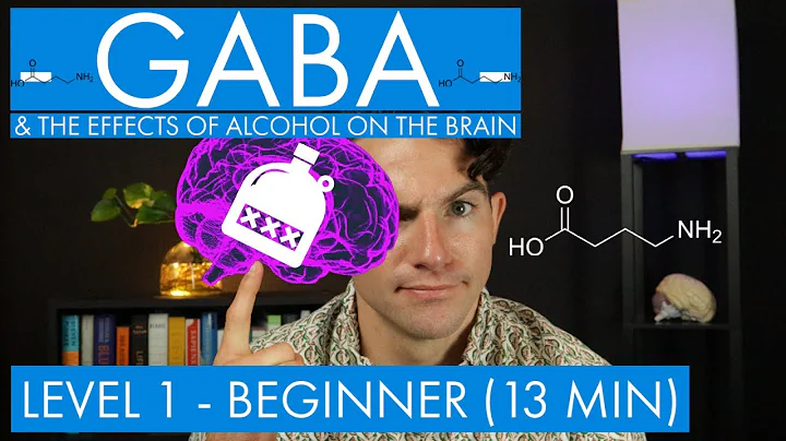 GABA - The Inhibitory Neurotransmitter (+ Alcohol in the Brain) (Level 1 - beginner)