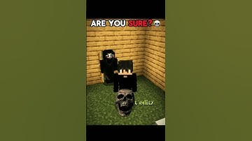 Are you sure 💀🤨 || #junkeyy #minecraft #shorts