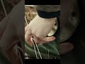 Making Snowshoes from Sticks #Shorts