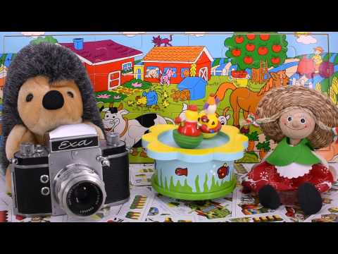 Nikon D7200 video