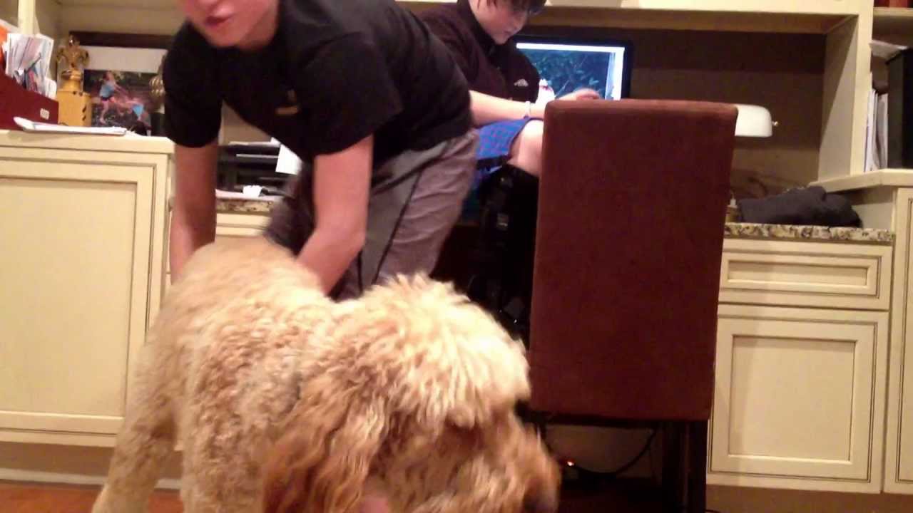 Friend screwing with his dog - YouTube