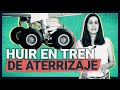  muerte y sobrevida huir de cuba en el tren de aterrizaje de un avin