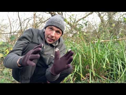 How to open a bush properly