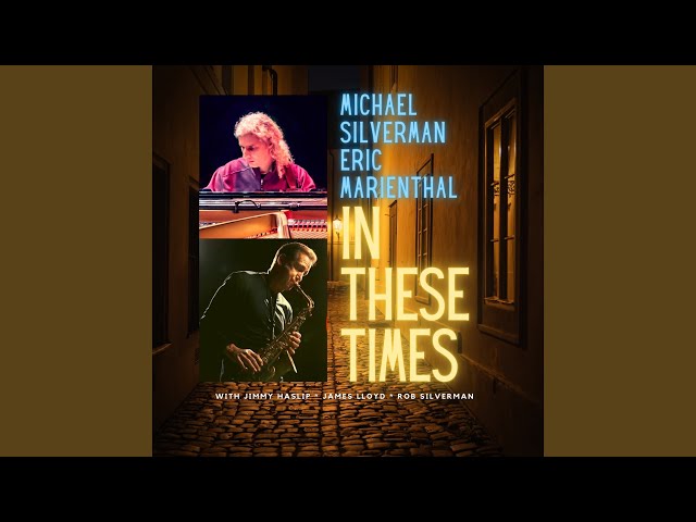 Michael Silverman - In these Times