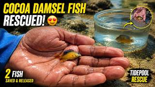 Caught Them... Then Set Them Free! 🐟✨ #fish #reef #ocean #tidepools #underwater #aquarium #fishing