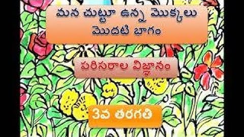 మన చుట్టూ ఉన్న మొక్కలు-1