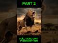 zakhmi sher ka bacha | lion revenge #animals #lion #wildlife #shortsfeed #shorts