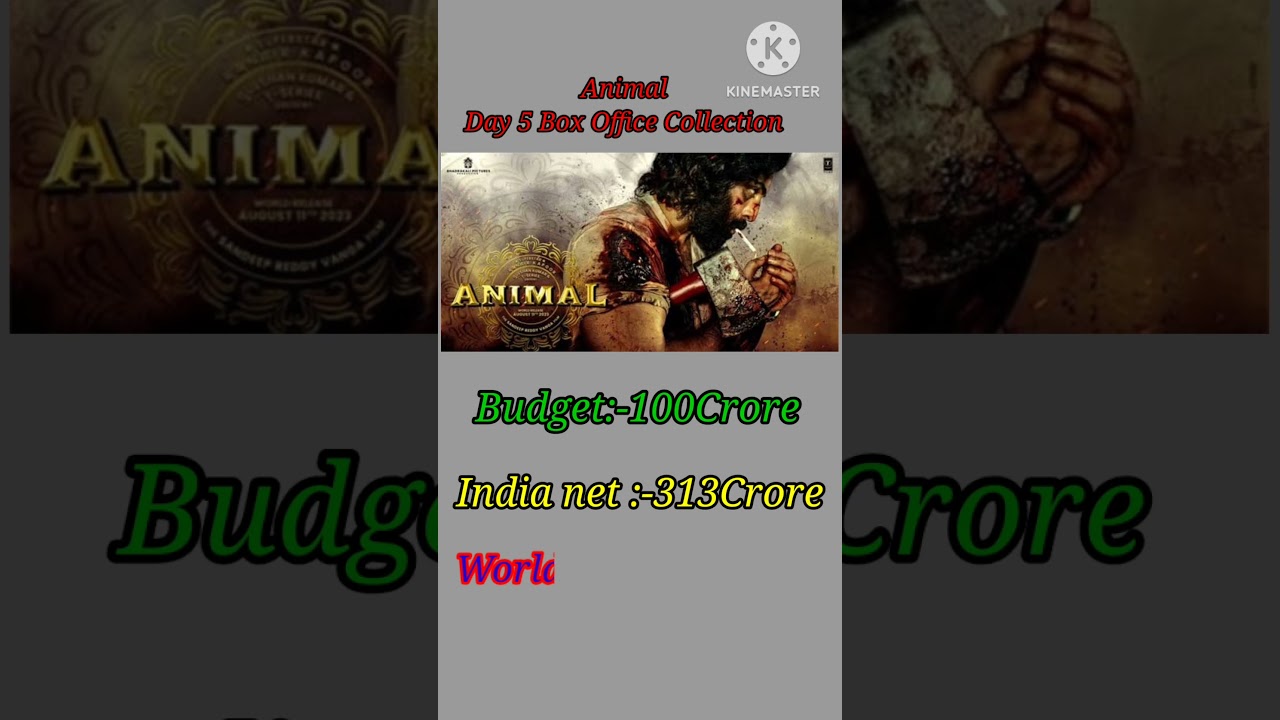 Animal Day 6 box office collection|Worldwide Collection
