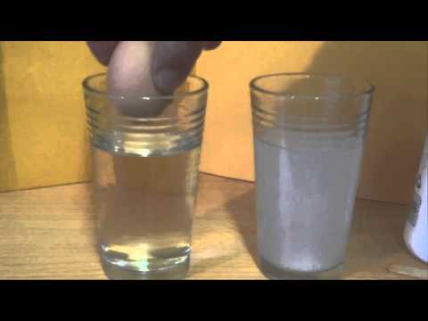 Do Eggs Float In Salty Water Do Eggs Sink In Fresh Water Simple Science Experiment