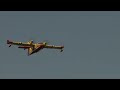 Two Canadair aircraft sent to fight the fire in the Fontainebleau forest | AFP