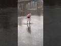 Average winter day in Amsterdam⛸️💥#shorts #amsterdam #winter #iceskate #fail 📹: xsupreme93