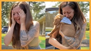 NEW PUPPY SURPRISE COMPILATION 2024 | WHOLESOME SURPRISE MOMENTS