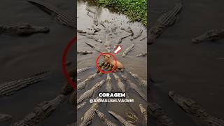 CAPIVARA! O animal MAIS subestimado do MUNDO🤯💀#shortsbrasil