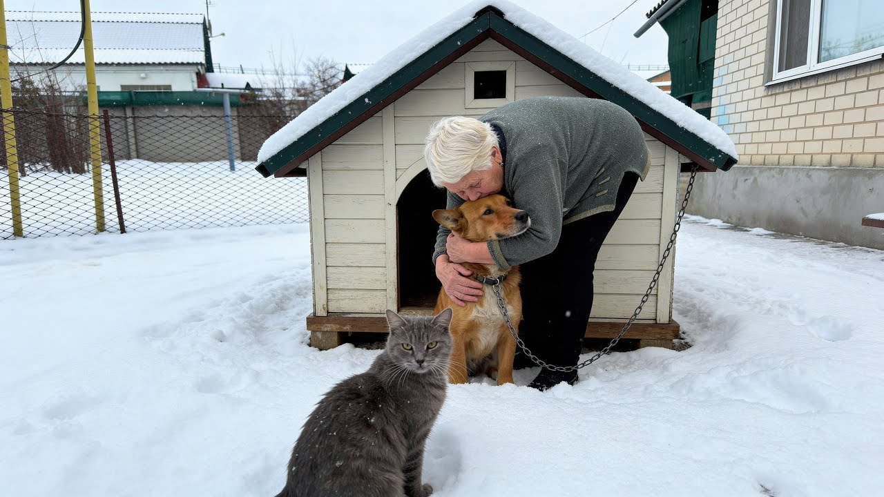 Quiet Life of a Mountain Grandma | Alone in the Carpathians, Yet Never Lonely