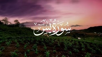 تلاوة هادئة❤️ تساعدك على راحة البال💞 بصوت القارئ محمد اسامه