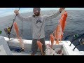 DEADLY Fishing Rig... Catch Clean Cook- Bahamas Deep Drop Snapper