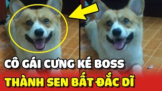 Cô gái CƯNG KÉ BOSS nhà HÀNG XÓM vô tình trở thành Sen bất đắc dĩ  | Yêu Lu