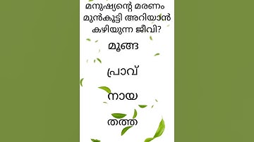 General Knowledge Quiz/Gk/PSC/USS/LSS/MCQ/Funny questions/Malayalam/Quiz/Questions