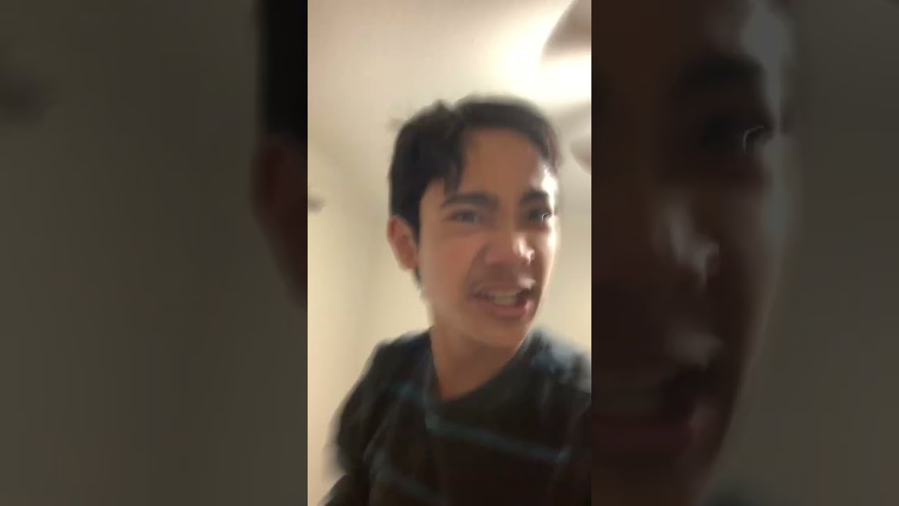 Pov When I Have A Dog For The First Time Until Only Dum Question 