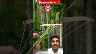 Diy Bamboo Bow Test Mission Success