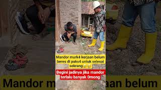 This Is What Happens If There Are Too Many Foremen viral