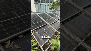 This Company Make Automatic Cleaning Solar Panel Business l #shorts #usa #usashorts #usabusiness #us