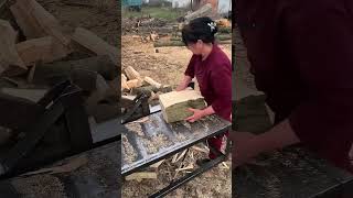 Splitting firewood woodworking #woodworking #chipper #woodchipper #treework #engineering #wood