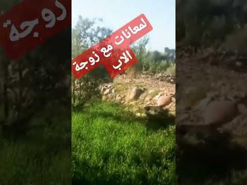 قصة واقعية معانات مع زوجة الاب