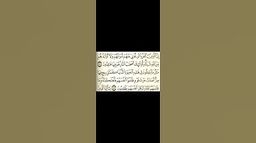 سورة آل عمران