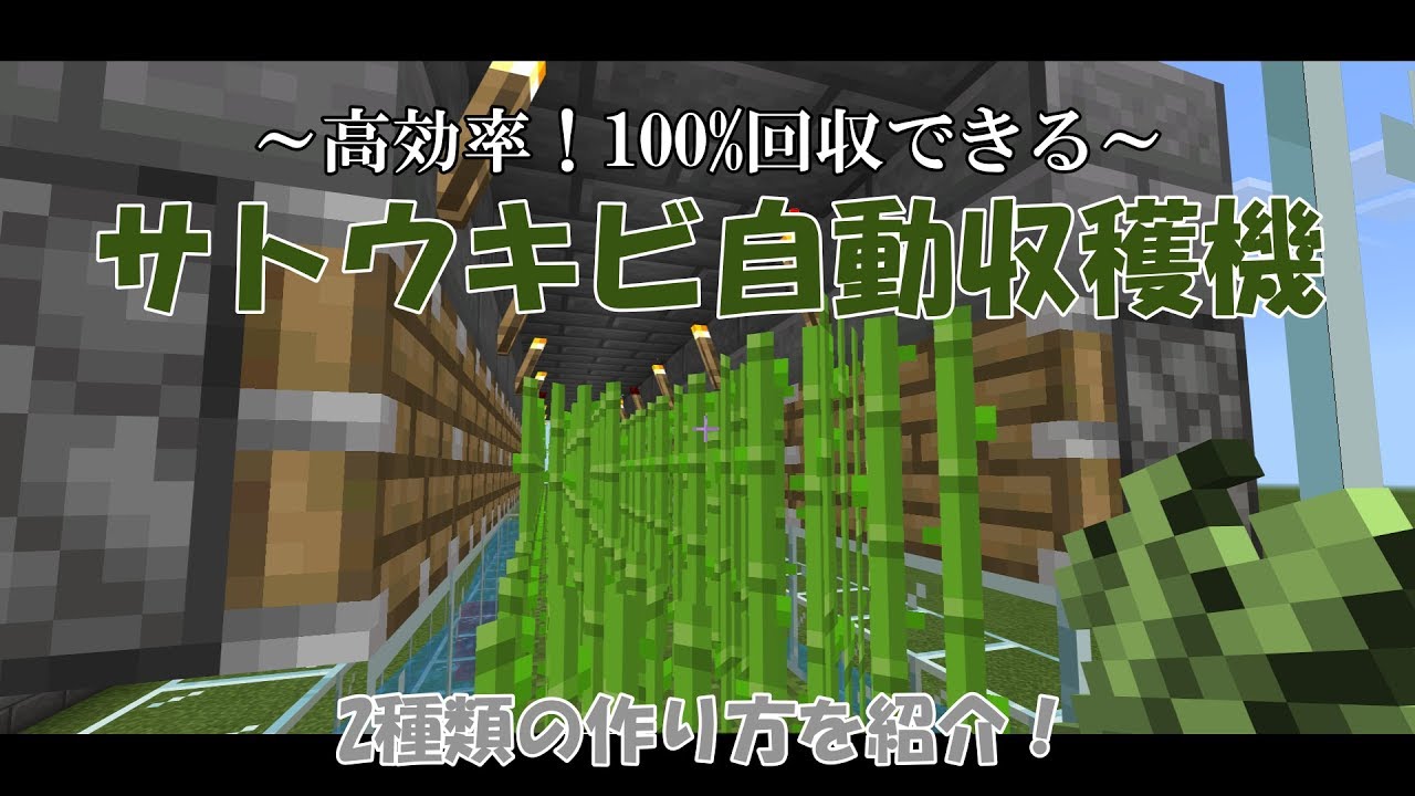 マイクラ統合版 回収率100 ホッパー付きトロッコを使ったサトウキビ自動収穫機の作り方を2種類紹介 マインクラフト Youtube