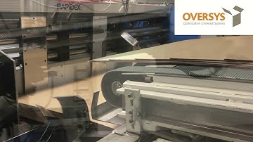 VIDEO OVERSYS U45480618 RAPIDEX RAPIDLINE 16 2 COLOR ROTARY DIE CUTTER WITH DOUBLE SLOTTER