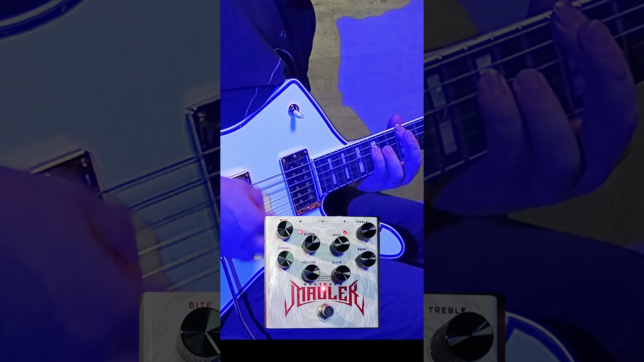 Revv Amplification ( レヴ・アンプリフィケーション ) Northern
