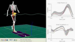 visual3D gait analysis.avi