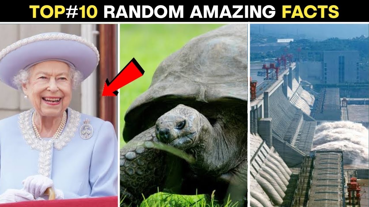 Top 10 Random Amazing Facts | Random Facts | #shorts #facts - YouTube