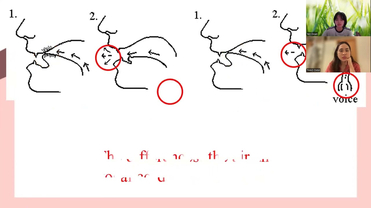 PF2404010 - 27/5 - IPA /θ/ /ð/; /s//z/; /p/ and /b/; /t/ and /d/; /k/ and /g/, Review Future plan_P1