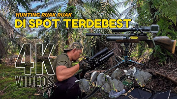Hunting Ruak ruak di Spot Terdebest