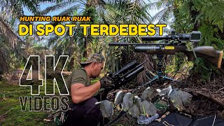 Hunting Ruak ruak di Spot Terdebest