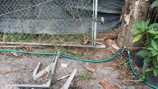 Sunscape Inc Nursery St Petersburg Fl Steve Smith