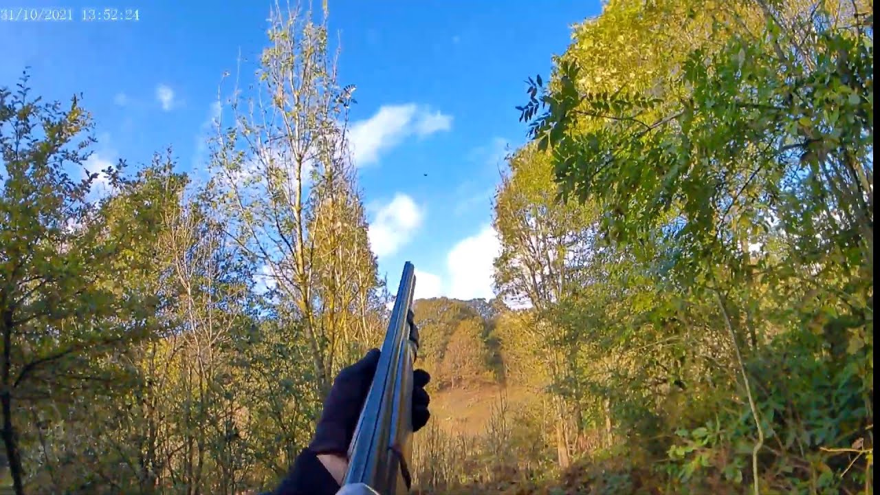 English Sporting at JJ's Clay Shooting Club 31.10.2021