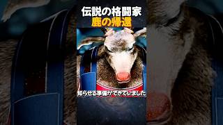 【復活】どん底に落ちた男が再び伝説になった理由