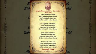 Muhammed Mehdi er-Ravvâs (Medhiye) 