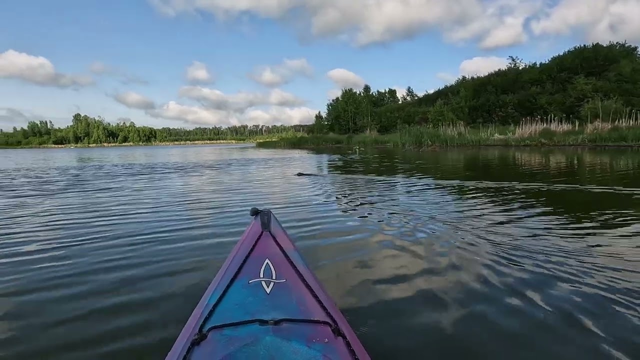 Fathers Day Padde  The Sounds of Islet Lake